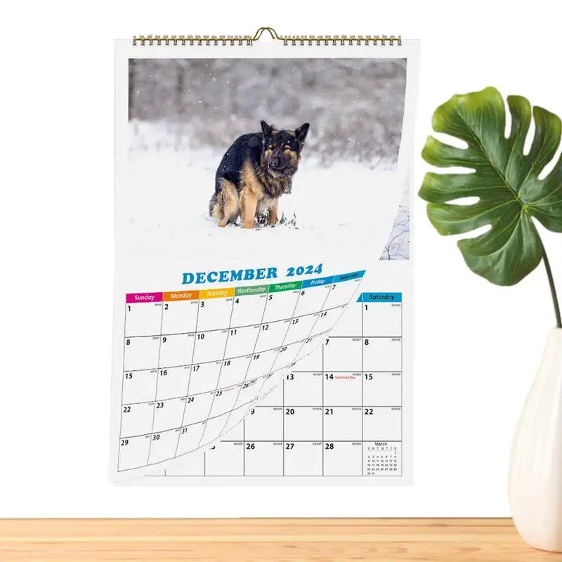 Забавный календарь какания собак, Собаки на 2024 год, ежемесячный настенный календарь, Какающая собака в красивых местах, толстая и прочная бумага